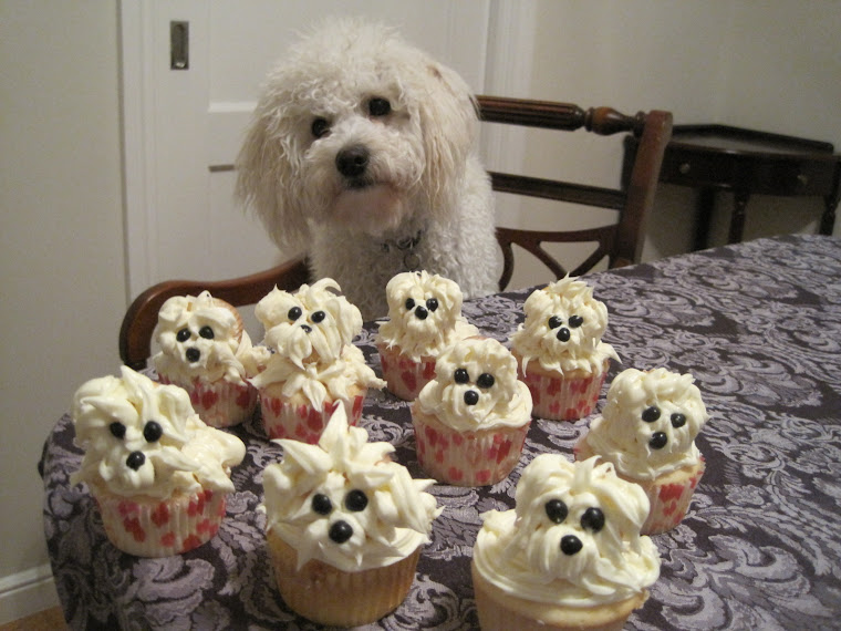 Buster Cupcakes