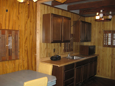 Cabin Kitchen Cabinets