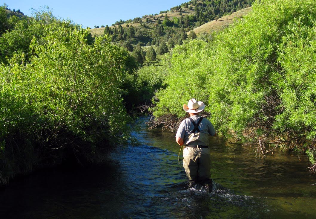 High Altitude Fly Fishing Yellowstone and Blacksmith Fork Canyon