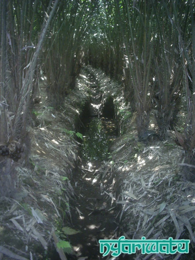 Gambar Foto Gratis Borobudur Candi Asia Indonesia Gambar Perjalanan
