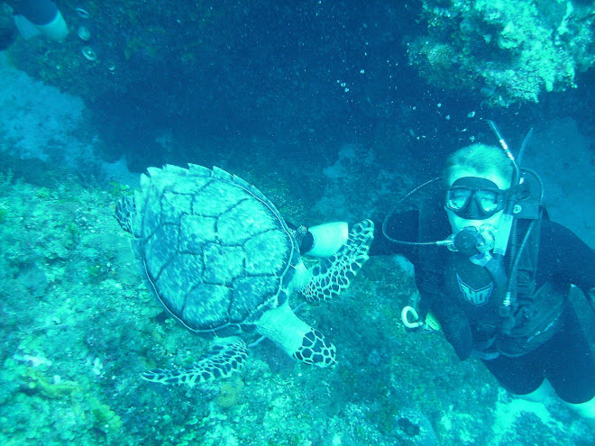 Brock scuba diving in Mexico
