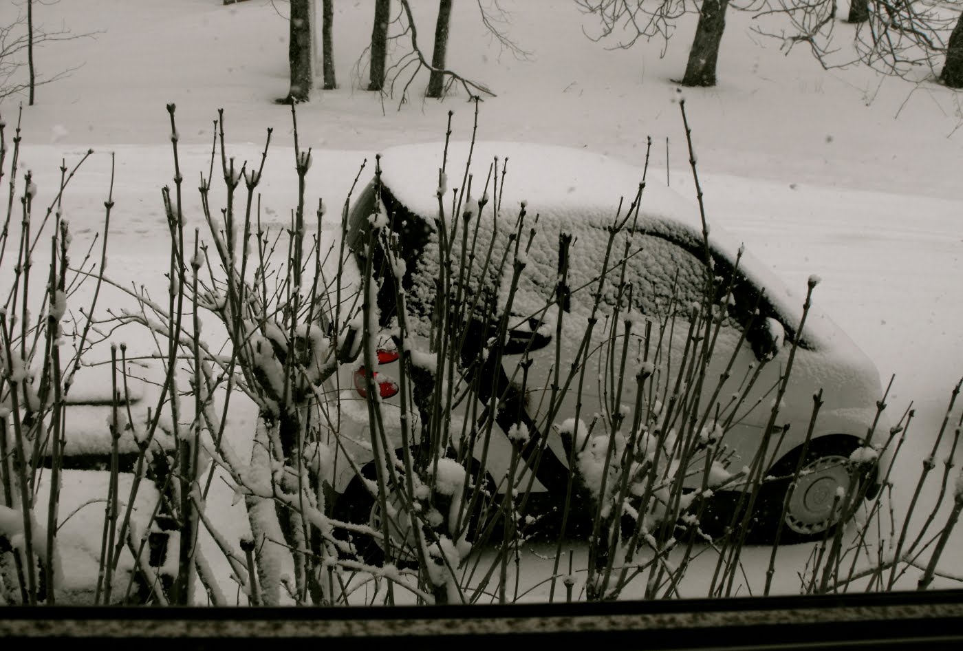 [smartfortwooutside.JPG]