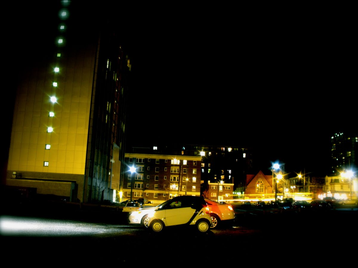 [taurusandsmart.jpeg]