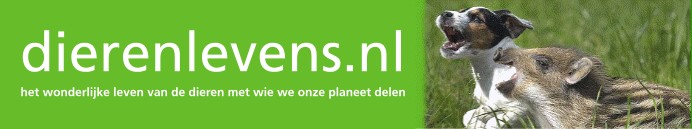 Dierenlevens