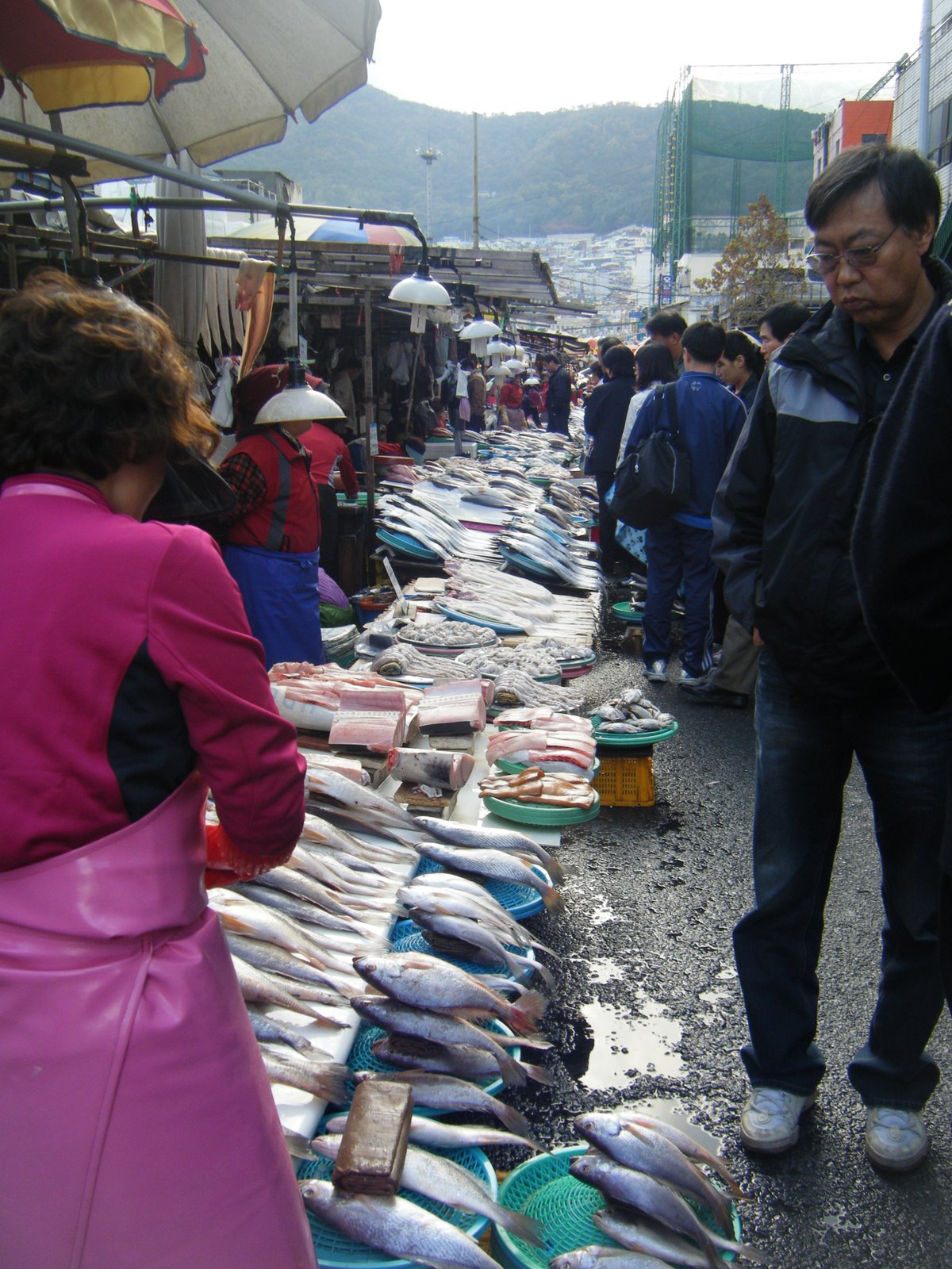 [DSCF01.JPG]