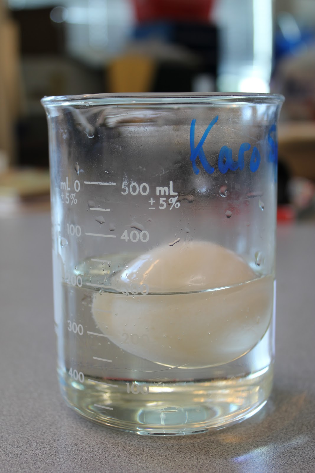 The Science Experience Osmosis Egg Lab Part 1