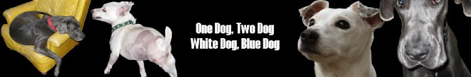 One Dog, Two Dog, White Dog, Blue Dog