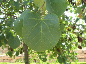 art nouveau furniture designers. art nouveau furniture