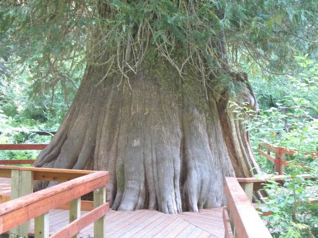 Chevy Dealership Near Elk River Mn: Your Comprehensive Guide to Automotive Excellence