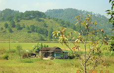 Rural Setting, Meghalaya