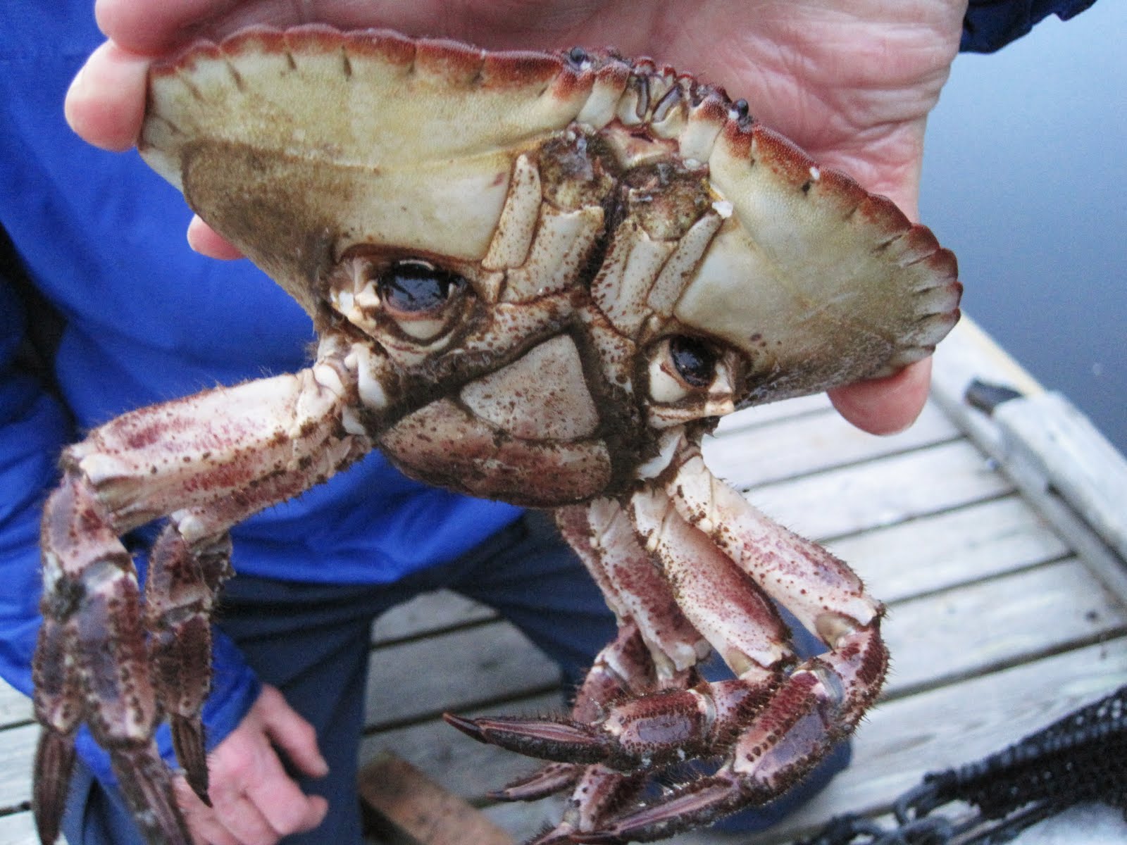 Shelby and Kjerstin's Scandinavian Adventure: Fishing Trip: Pictures