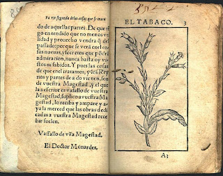 Ilustración de la planta del tabaco en la obra 'Historia medicinal de las cosas que se traen de nuestras Indias Occidentales', de Nicolás Monardes.