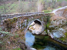 Ponte Romana da Moimenta