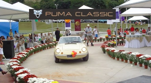 Puma Classic