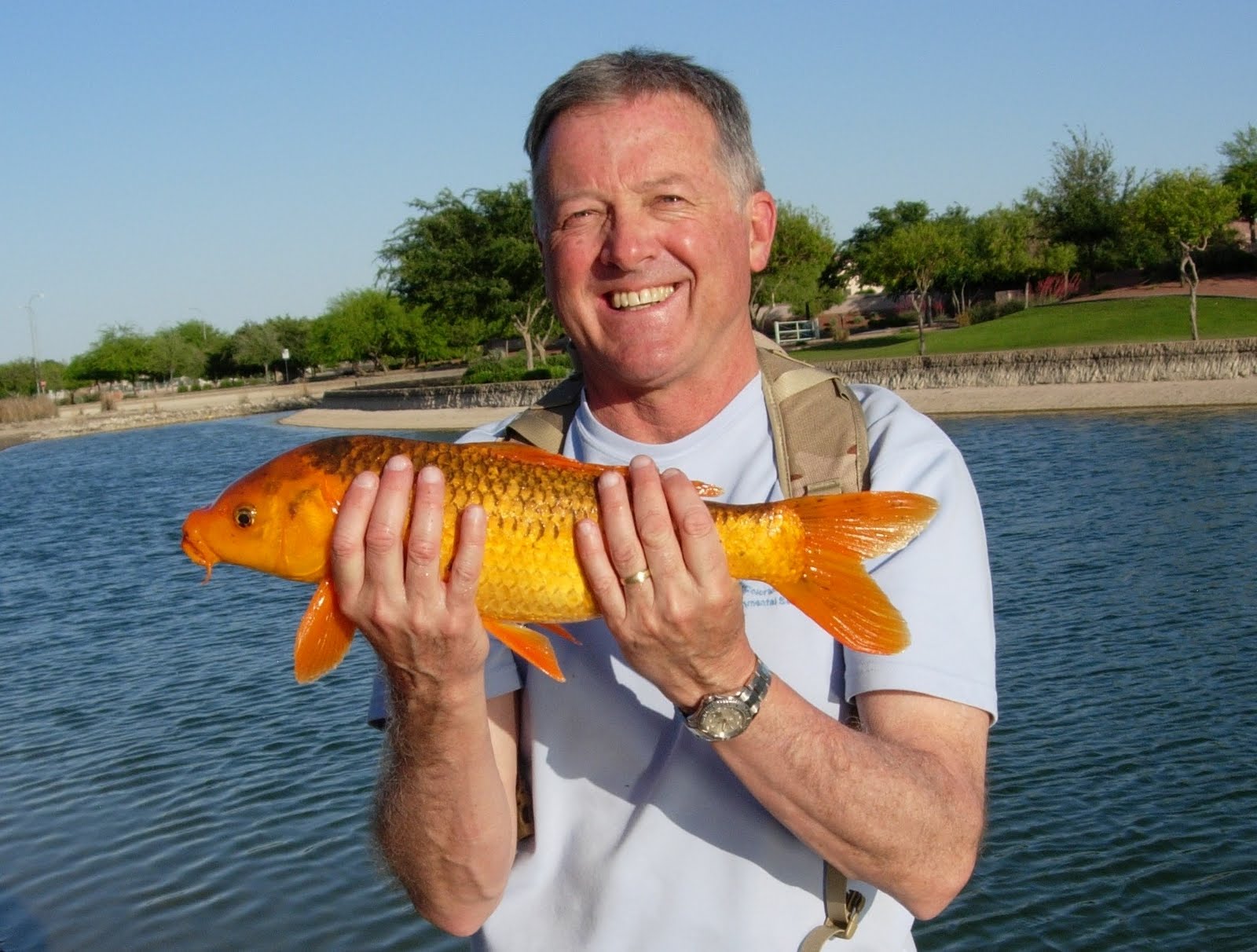 Colorado Fly Fishing Reports Fly Fishing for Koi