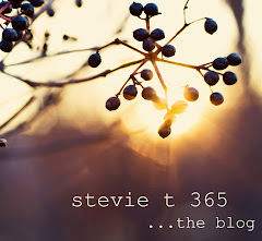 Stevie T 365 Blog