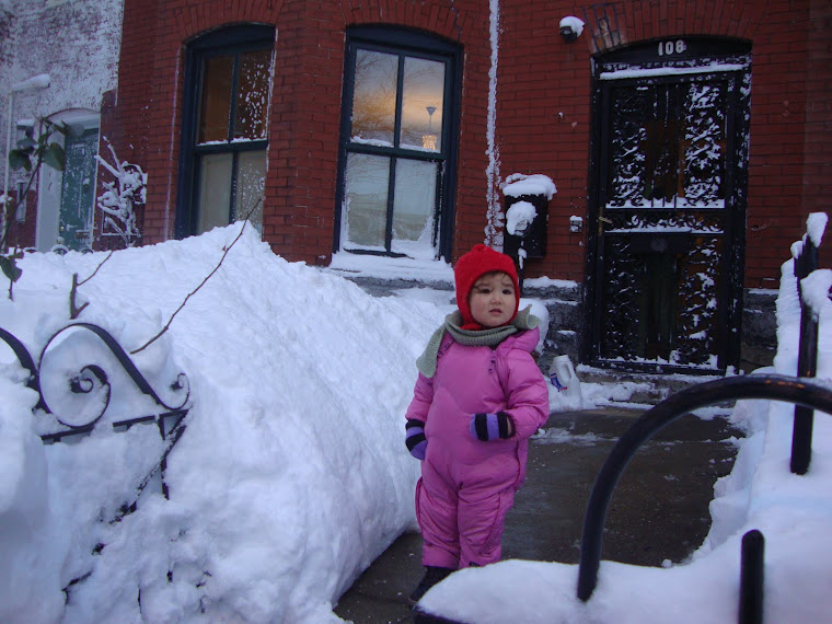 Storm of 2010