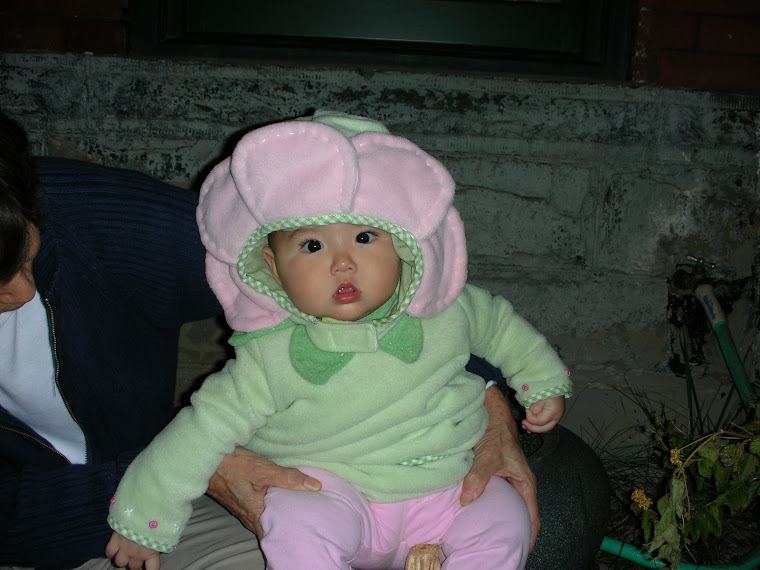 Happy Halloween 2008