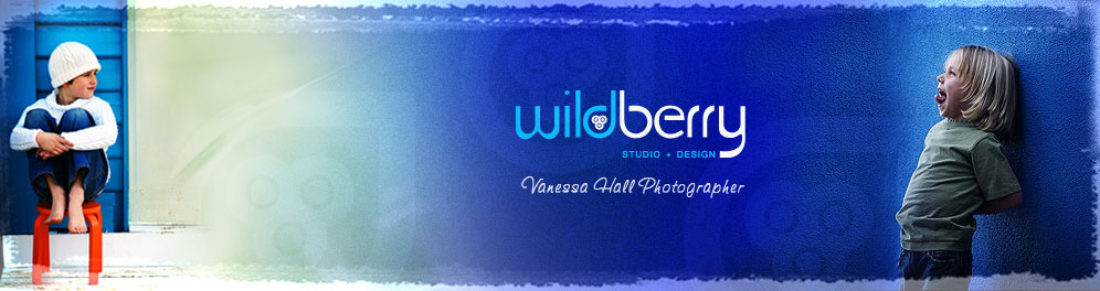 Wildberry Studio & Design