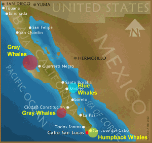baja california map