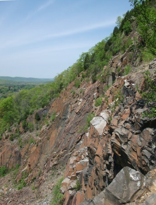 The Blue Trail