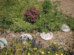 our flowers