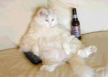 Por cada click que haces matas un gato como este