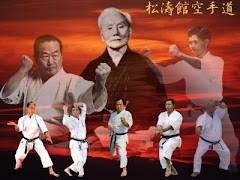 La esencia del karate Shotokan