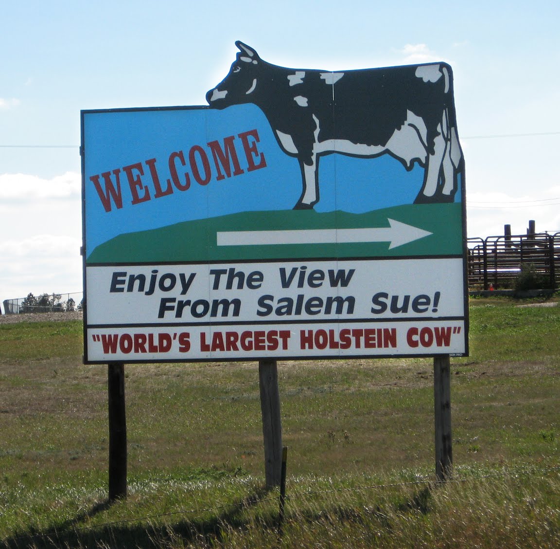 Eccentric Roadside Udder delight Salem Sue, the world's largest