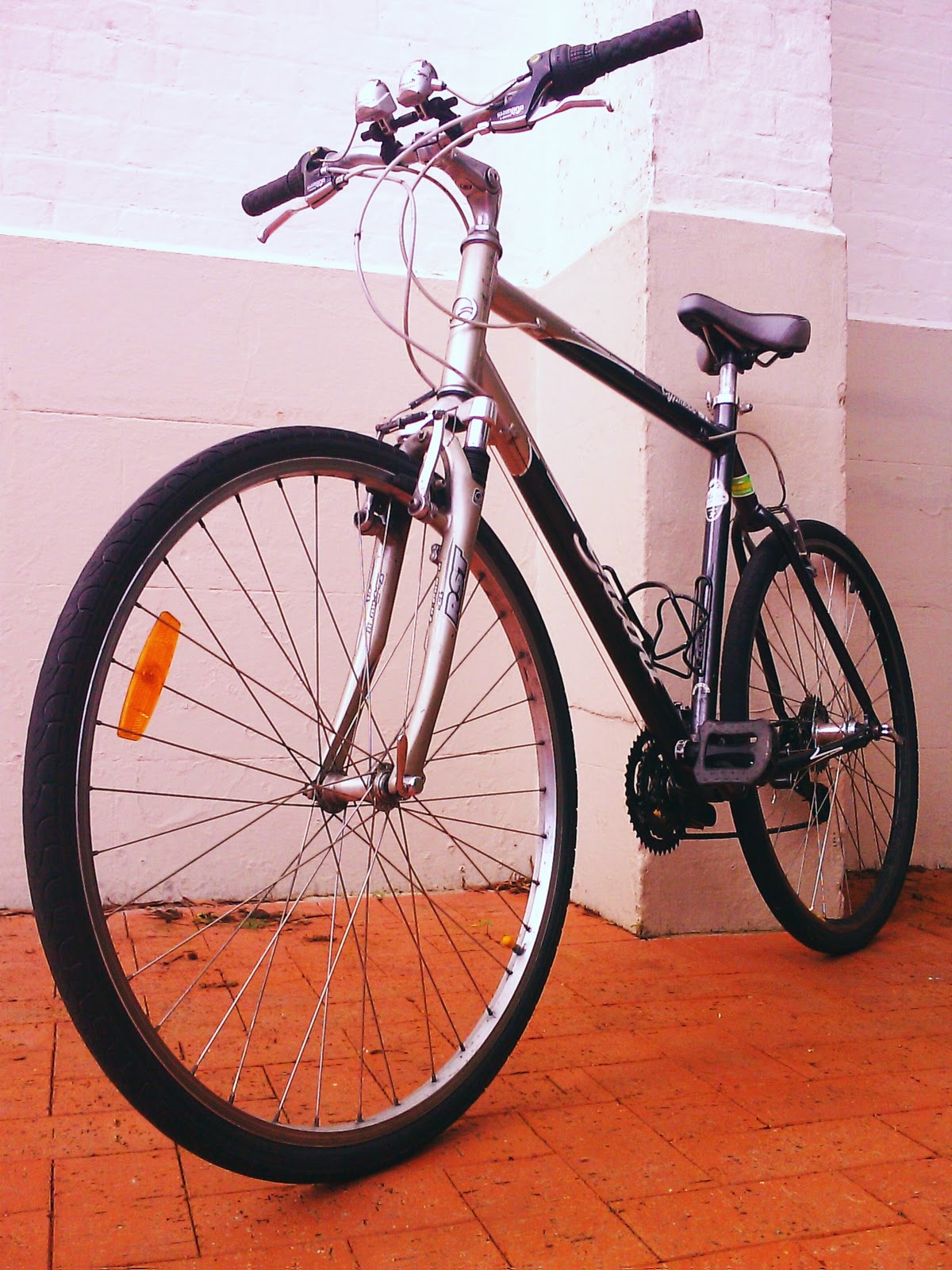 giant cypress womens