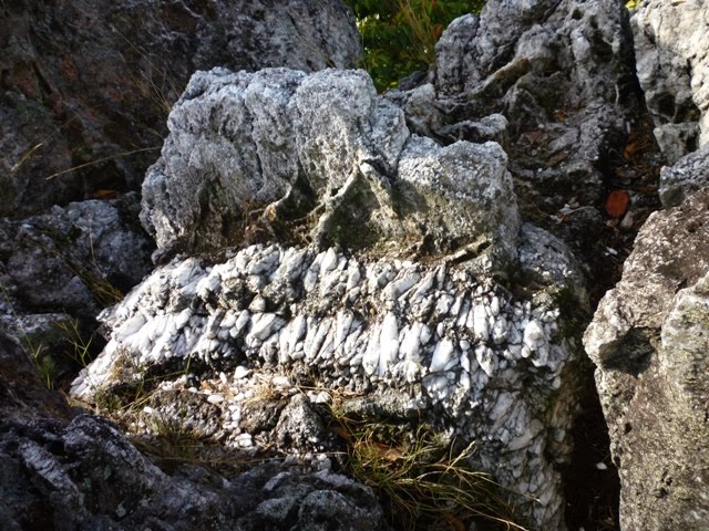 Ibi Benefici Locus Est: High Altitude Adventures at the Klang Gates ...
