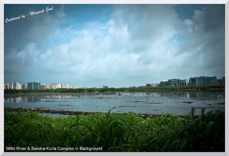 Mahim Nature Park Importance Of Project Mahim Nature Park Importance Of Project