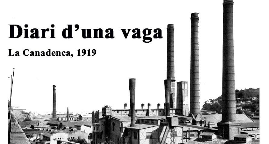 Diari d'una vaga