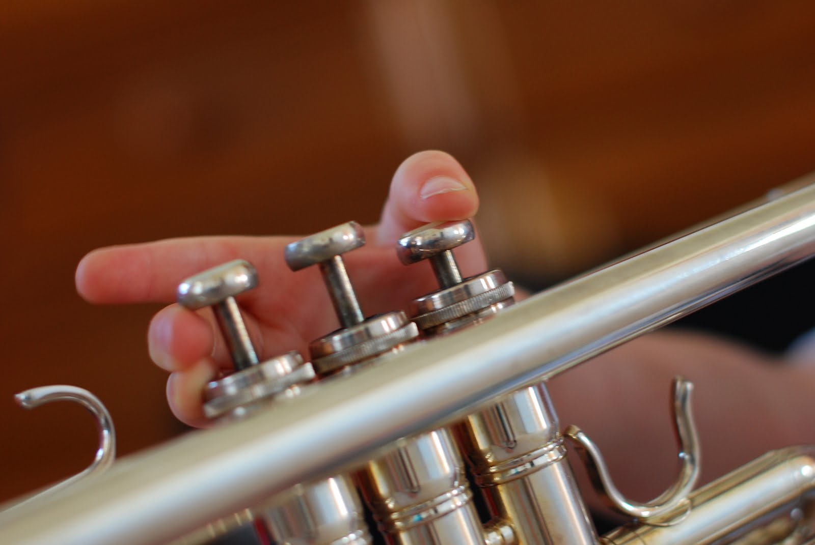 Semenick family Learning to play the trumpet