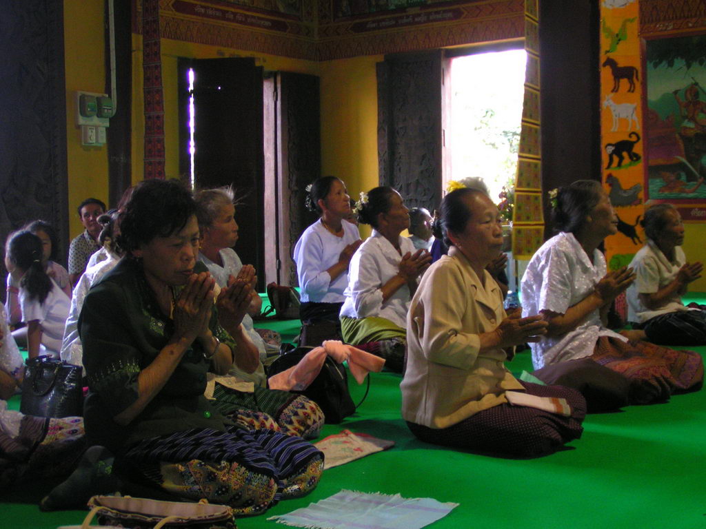 [PICT8398.JPG]