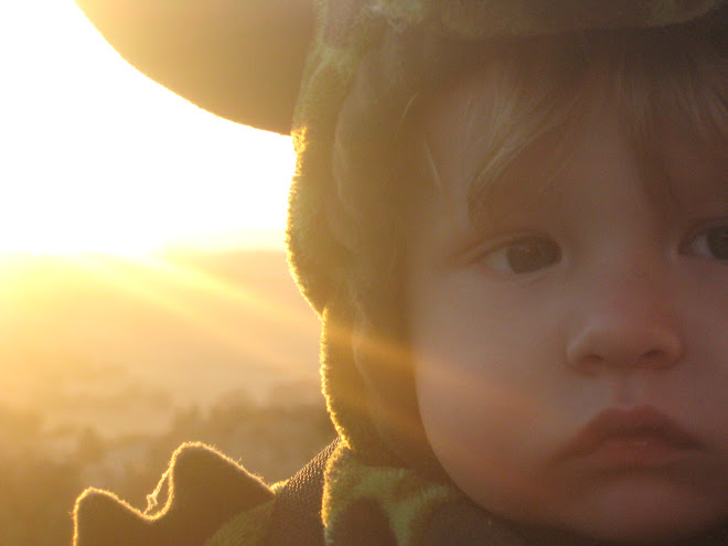 Where the wild thing is