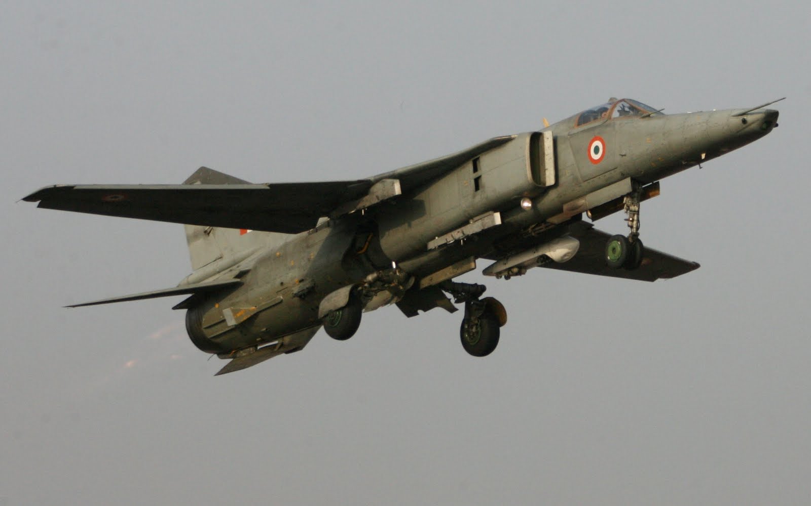 [IMG_7775-785895.JPG]