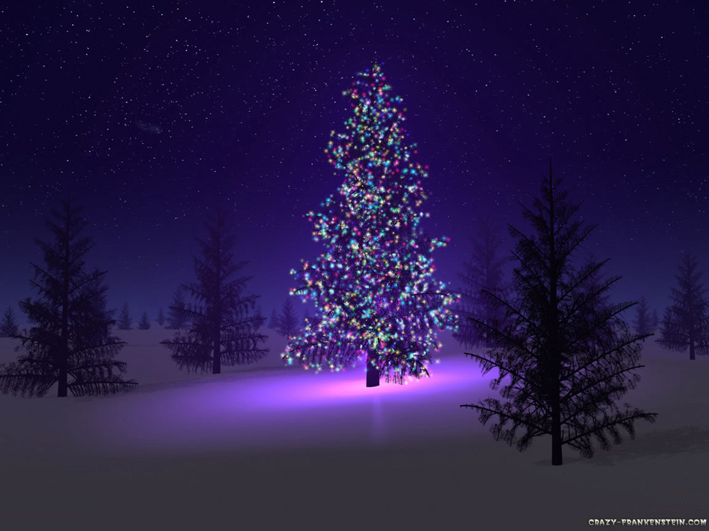 [beautiful-christmas-tree+[DesktopNexus.com].jpg]