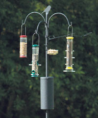 bird pole feeder system squirrel baffle birds advanced wild unlimited aps feeders feeding station diy poles backyard own hanging parts