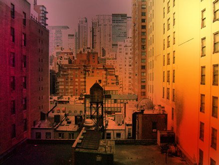 [bio07g_086t_330h.jpg]