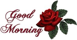 morning rose roses quotes tuesday wishes nice