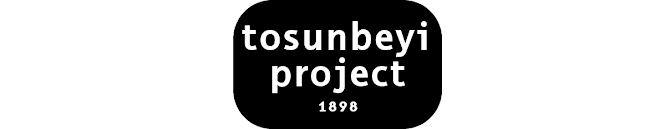 Tosunbeyi Project