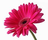 [sb10069810w-001.jpg]