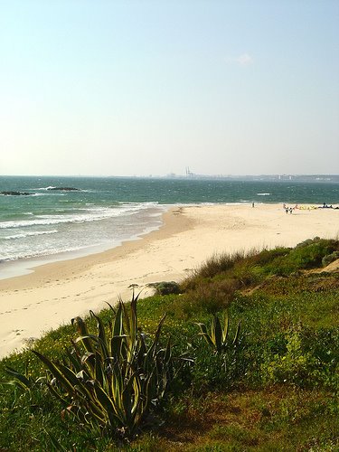 [2488975204_3d2e1b1902.jpg]