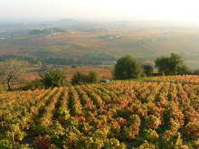 Beaujolais