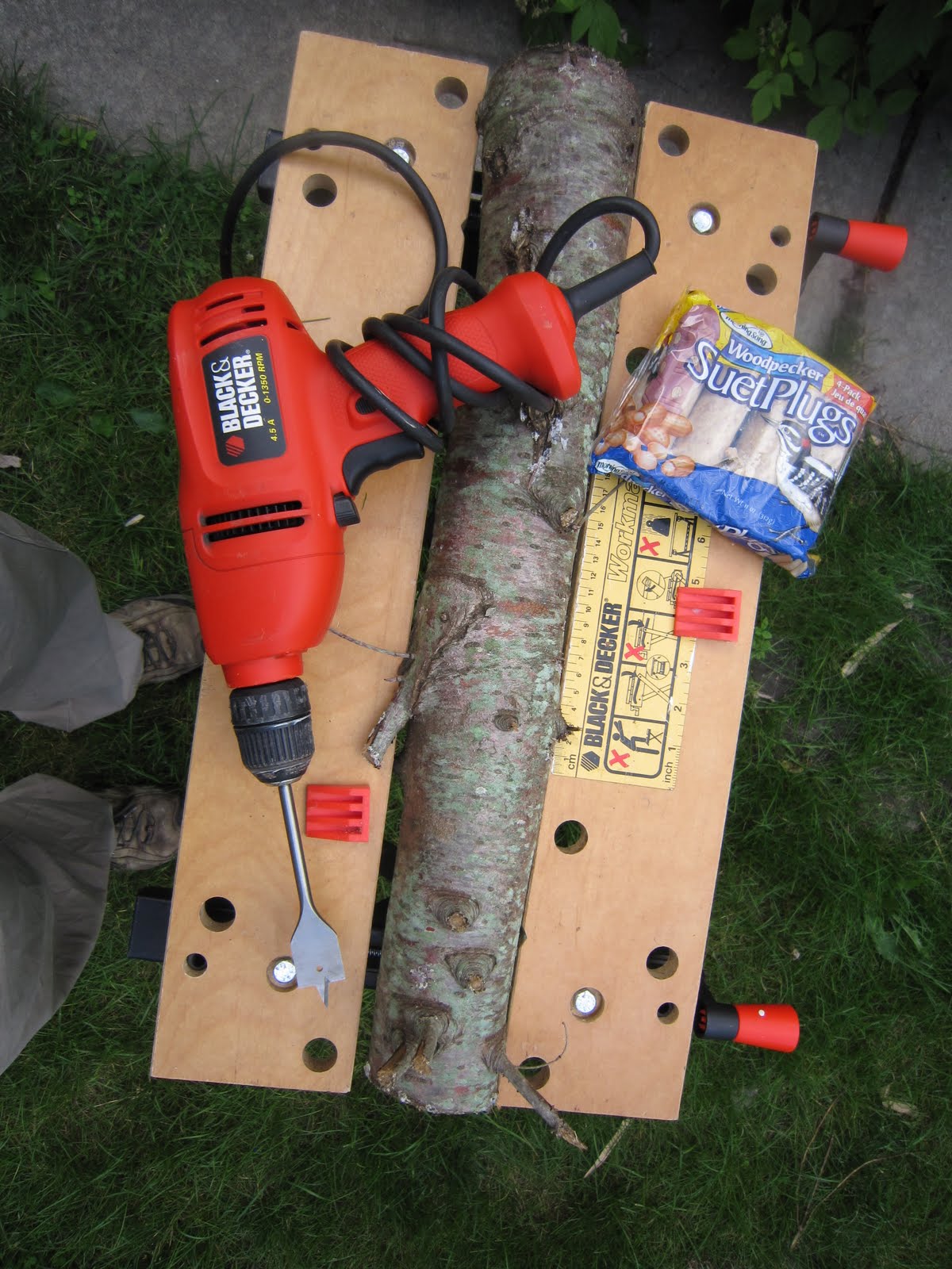 Chuck Does Art DIY Suet Feeder