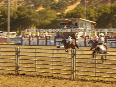 Dally Team Roping Event...