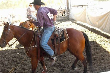 Cowboy on red brown  horse...