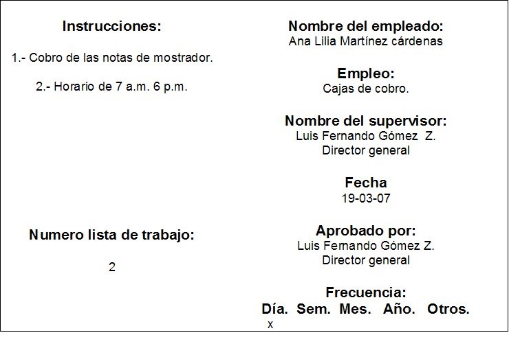 MANUAL DE ORGANIZACION DE LA EMPRESA MANUAL DE ORGANIZACION DE LA EMPRESA