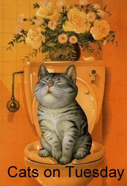 [on+the+loo-1.jpg]